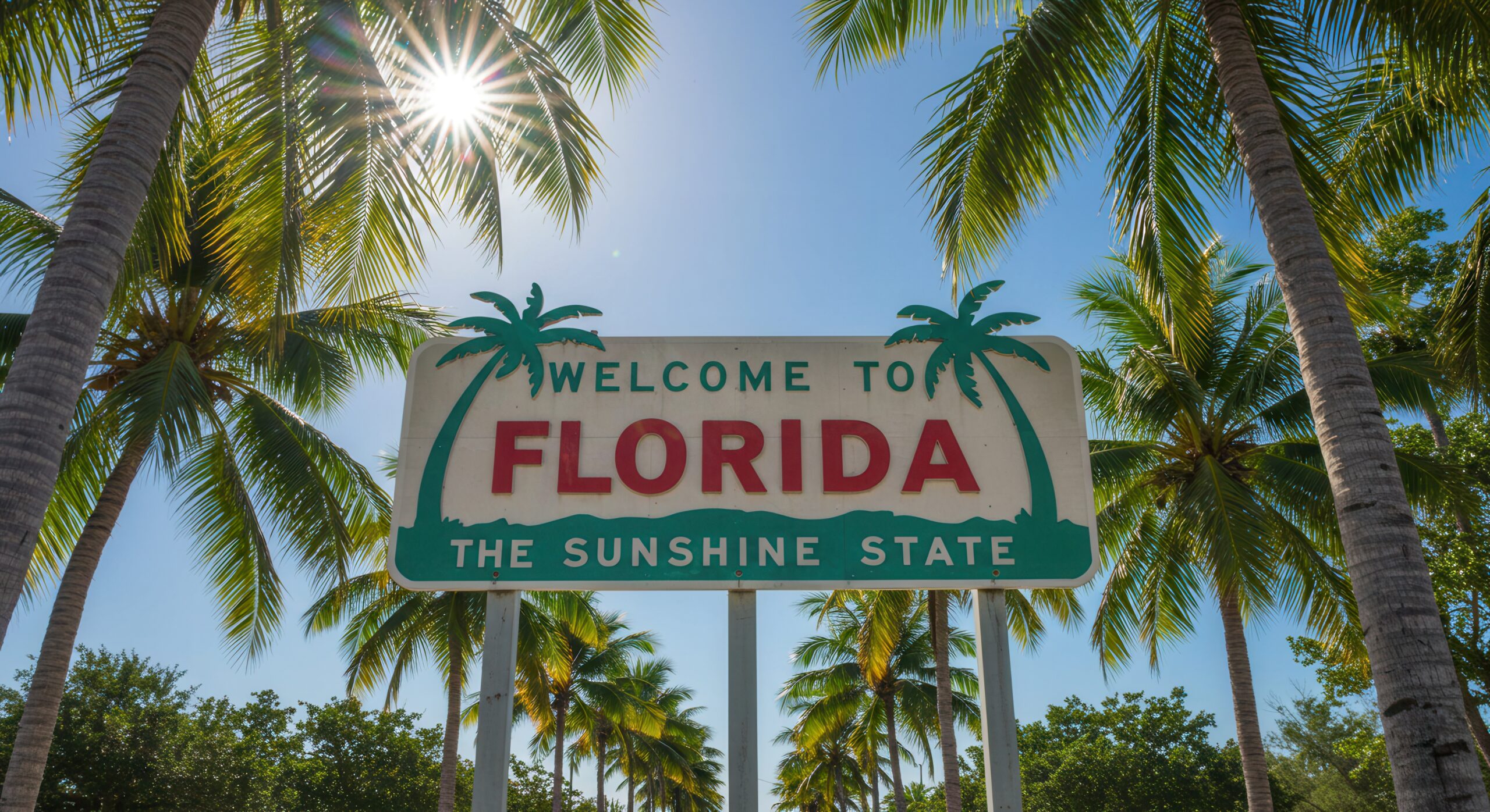 Fix 3: The Sun Is Blinding the Receiver
